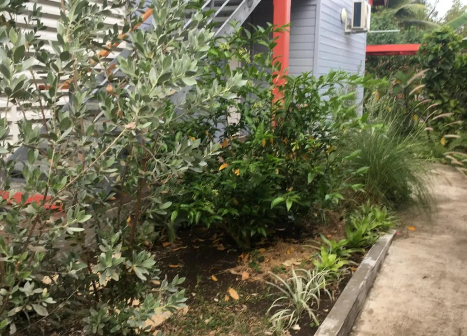 Apartment Cotton Residences Sainte-Anne  Guadeloupe