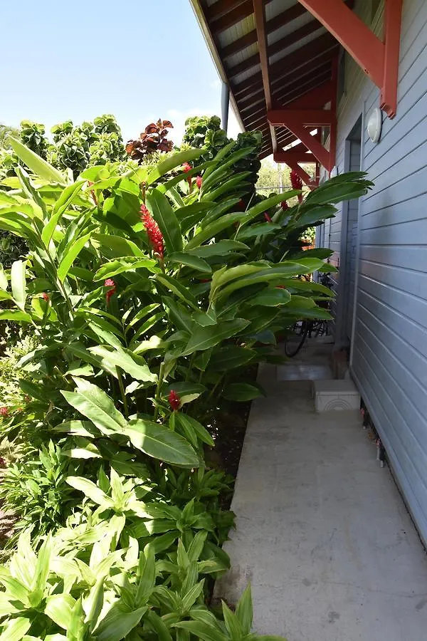 Cotton Residences Sainte-Anne  Guadeloupe