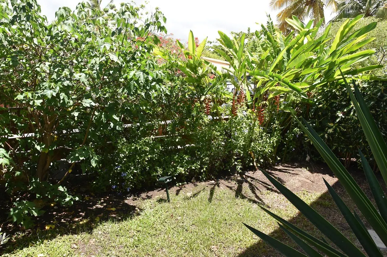 Cotton Residences Sainte-Anne  Sainte-Anne (Grande-Terre)