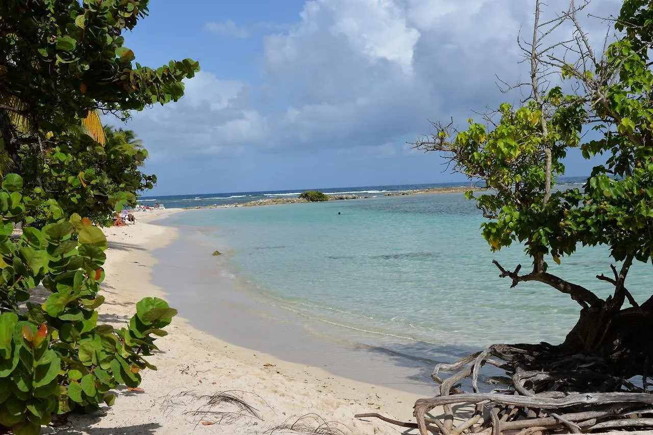 Apartment Cotton Residences Sainte-Anne  Guadeloupe