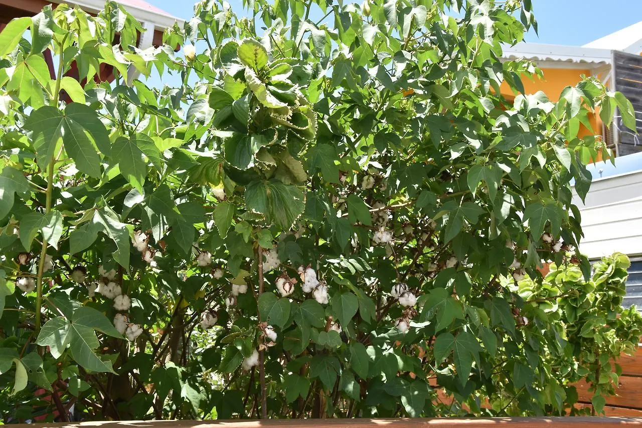 Cotton Residences 상트 안느 0*,  과달루프
